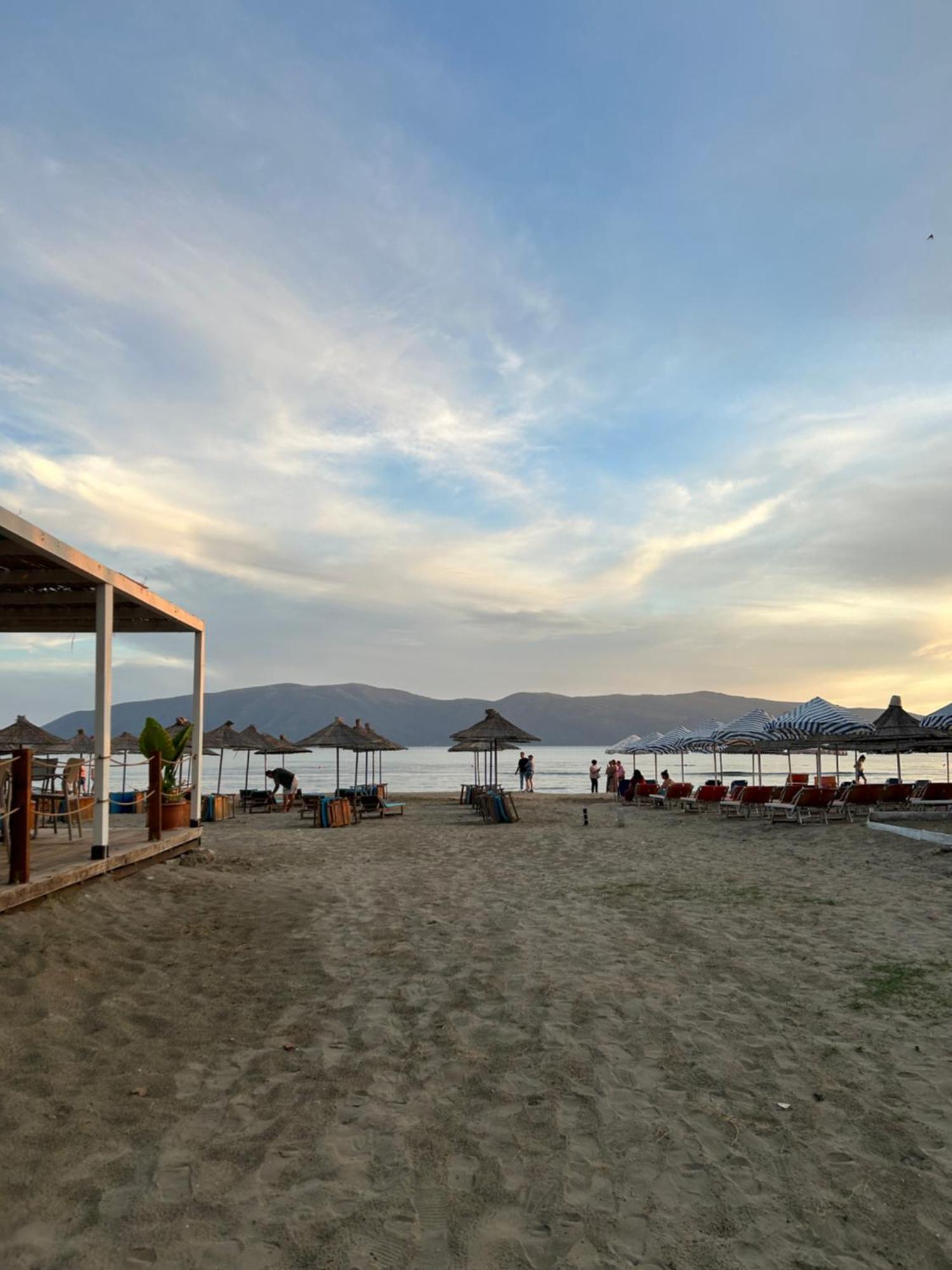 Roan * Vlore