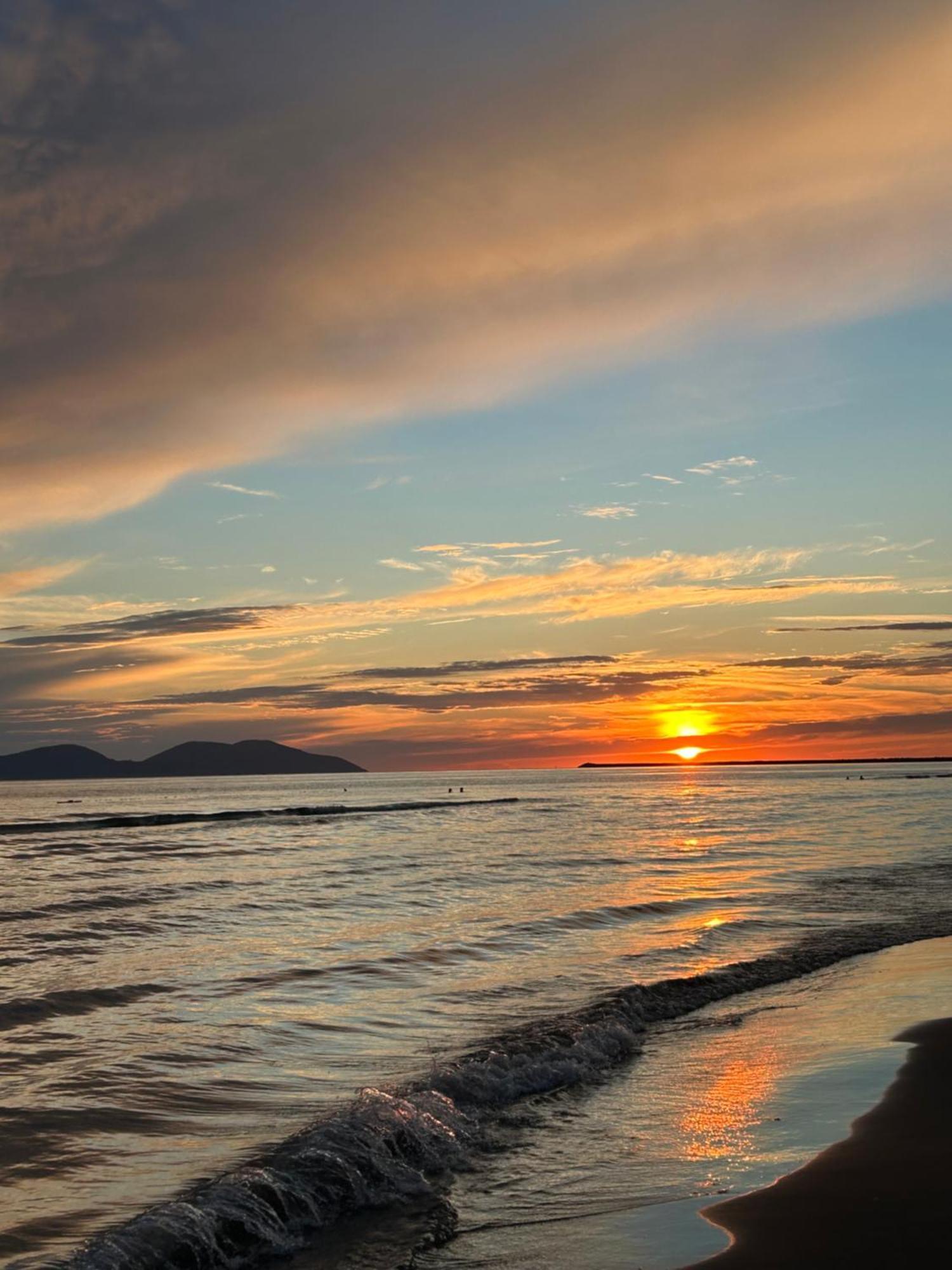 Roan * Vlore