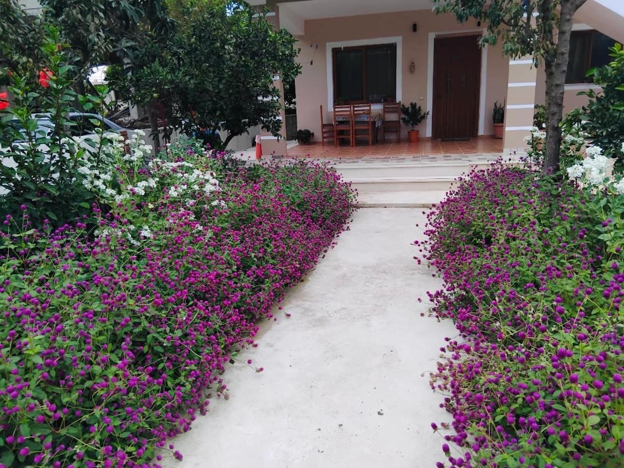 Roan * Vlore